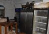 Δονούσα: Τρία χρόνια στη φυλακή στον 63χρονο που βασάνιζε γάτες – «Τις αγαπάω» είπε στο δικαστήριο