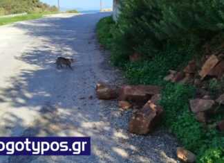 Ήταν θέμα χρόνου