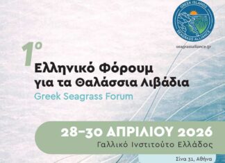 Στην Αθήνα το πρώτο Ελληνικό Φόρουμ για τα Θαλάσσια Λιβάδια, συμπεριλαμβανομένης της Ποσειδωνίας