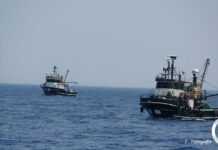 Archipelagos – Institute of Marine Conservation – Καταστροφική και Παράνομη Αλιεία από 4 Τουρκικές Μηχανότρατες στα Ελληνικά Χωρικά Ύδατα μεταξύ Σάμου, Φούρνων και Πάτμου