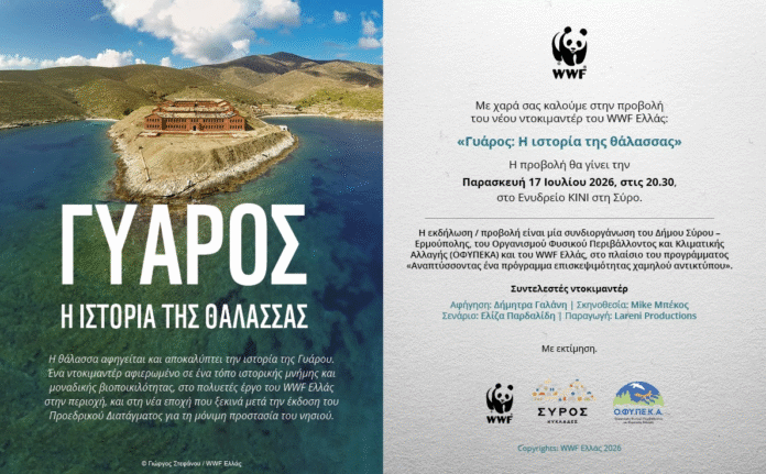 ΔΤ ΓΥΑΡΟΣ ΠΡΟΒΟΛΗ